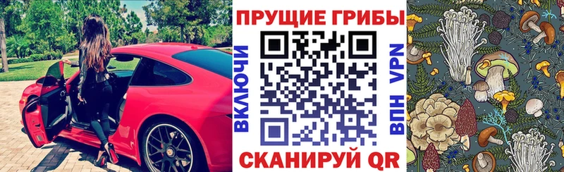 даркнет сайт  Полевской  Галлюциногенные грибы прущие грибы 